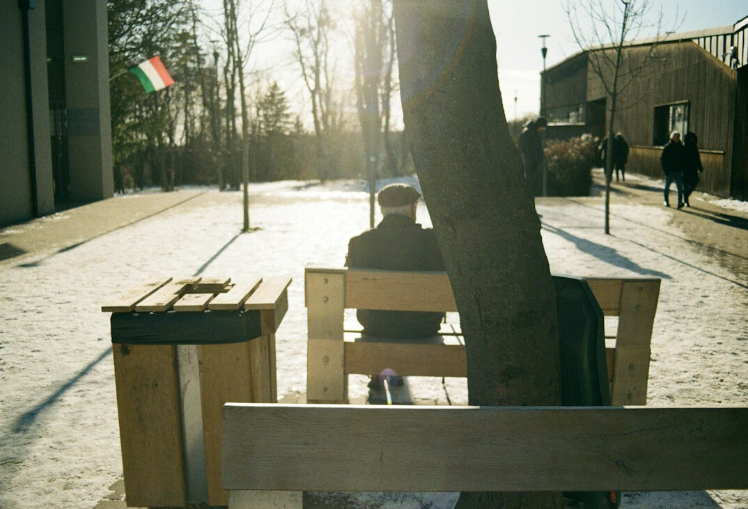 person sitting alone on bench in park